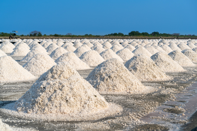Salt in salt farm ready for harvest
